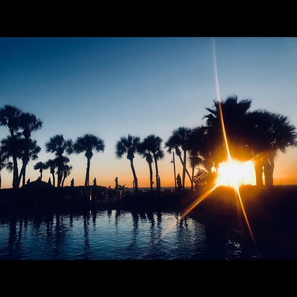 Meet your Posher, Dawn - Picture 1 of 1